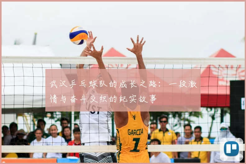 武汉乒乓球队的成长之路:一段激情与奋斗交织的纪实故事