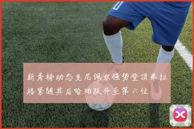 新秀榜动态克尼佩尔强势登顶弗拉格紧随其后哈珀跃升至第六位
