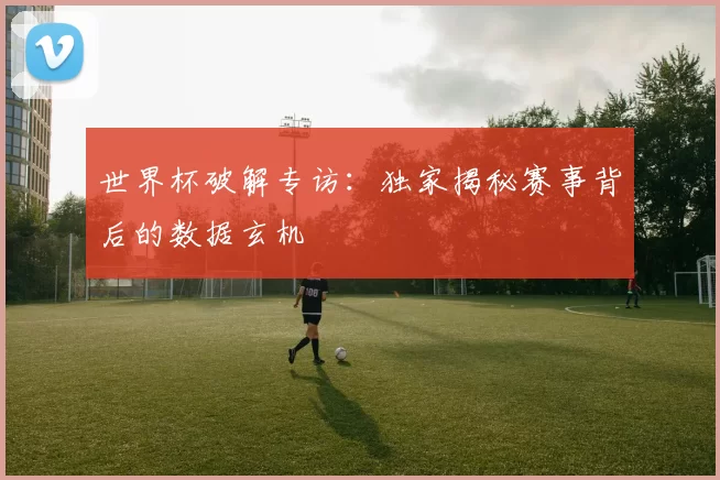 世界杯破解专访：独家揭秘赛事背后的数据玄机