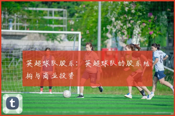 英超球队股东：英超球队的股东结构与商业投资