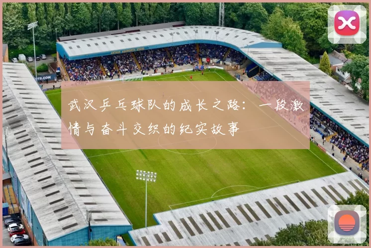 武汉乒乓球队的成长之路:一段激情与奋斗交织的纪实故事