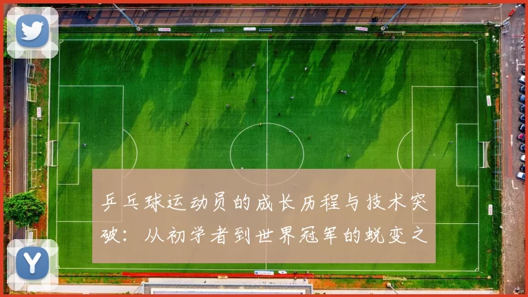 乒乓球运动员的成长历程与技术突破:从初学者到世界冠军的蜕变之路