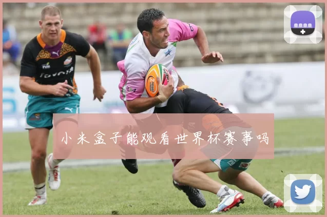 小米盒子能观看世界杯赛事吗