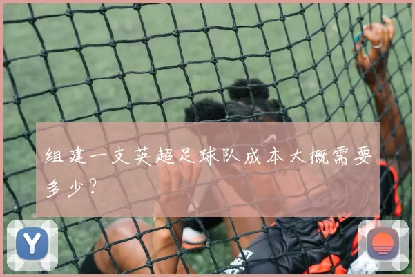 组建一支英超足球队成本大概需要多少?