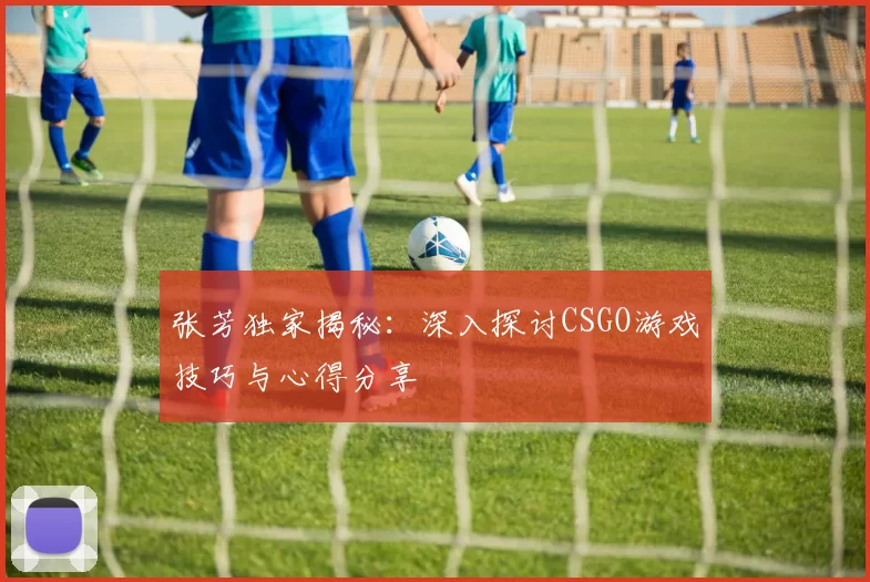 张芳独家揭秘：深入探讨CSGO游戏技巧与心得分享