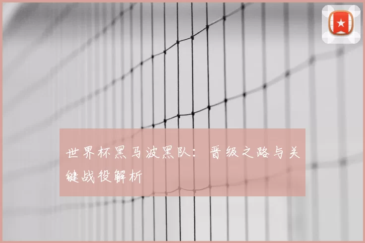 世界杯黑马波黑队:晋级之路与关键战役解析