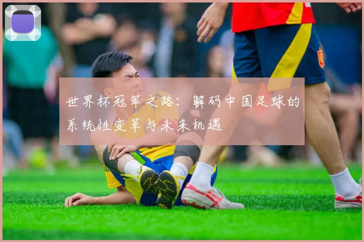 世界杯冠军之路：解码中国足球的系统性变革与未来机遇