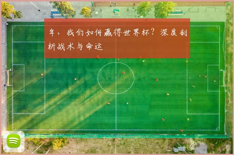 年，我们如何赢得世界杯？深度剖析战术与命运