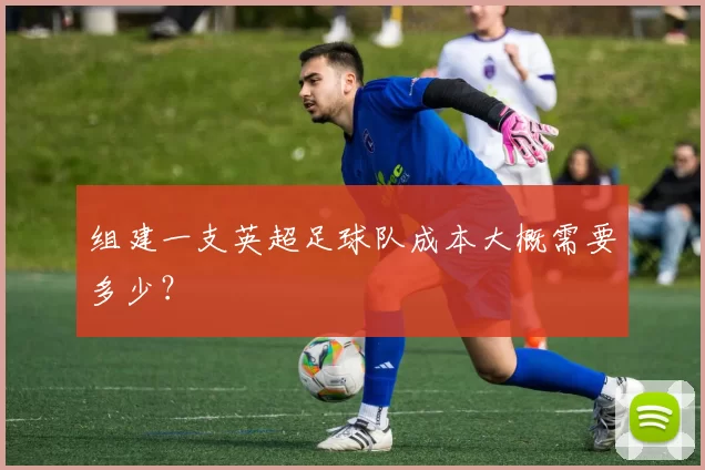 组建一支英超足球队成本大概需要多少?