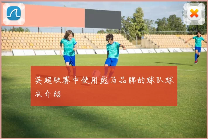 英超联赛中使用彪马品牌的球队球衣介绍