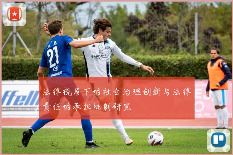 法律视角下的社会治理创新与法律责任的承担机制研究