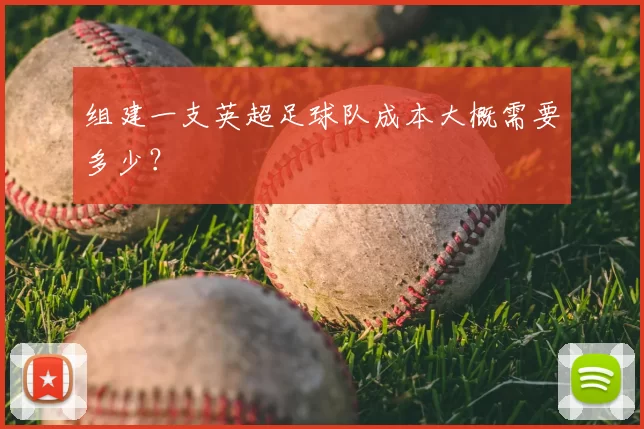 组建一支英超足球队成本大概需要多少？
