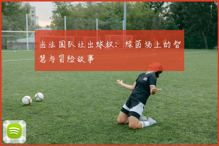 当法国队让出球权:绿茵场上的智慧与冒险故事
