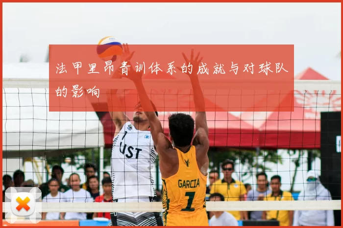 法甲里昂青训体系的成就与对球队的影响
