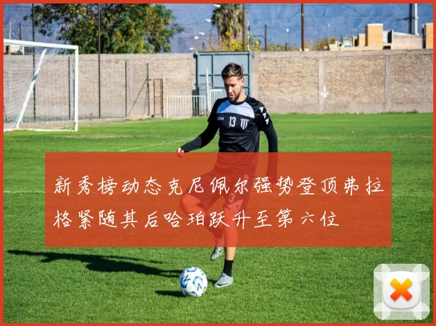 新秀榜动态克尼佩尔强势登顶弗拉格紧随其后哈珀跃升至第六位