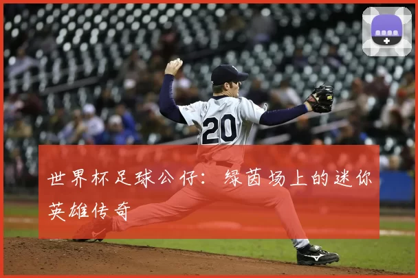 世界杯足球公仔：绿茵场上的迷你英雄传奇