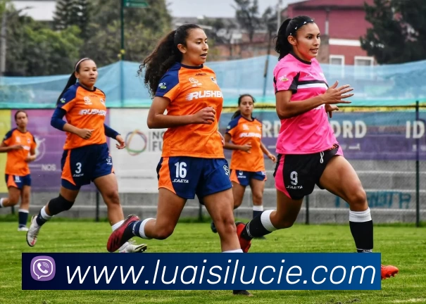 十大信誉好的平台APP 高清赛事图